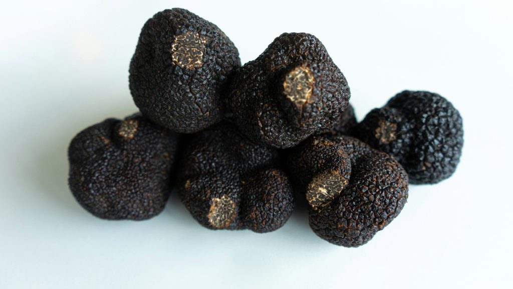 Découvrez les secrets de la truffe noire !